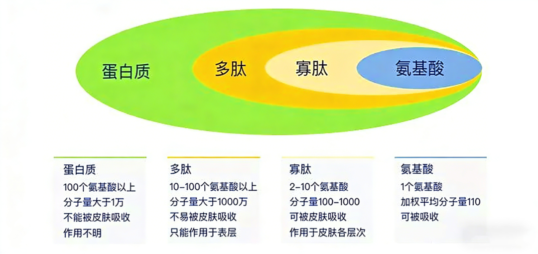 640 (1).png